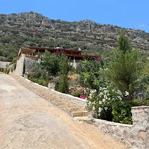 Guest house Istlada Tas Ev Apart - Kekova View